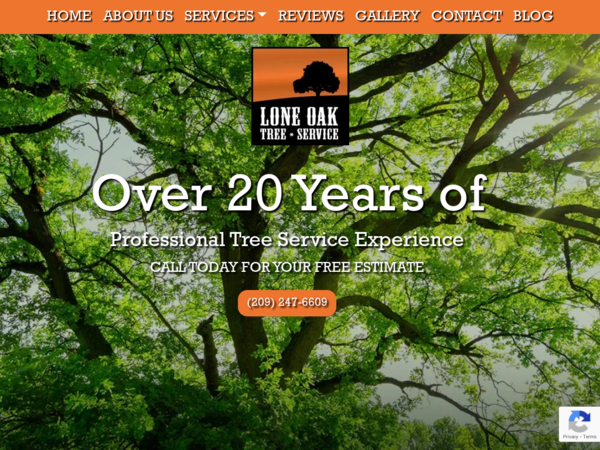Lone Oak Tree Service