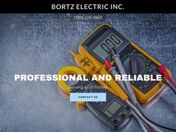 Bortz Electric Inc.