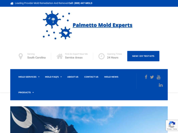 Palmetto Mold Experts