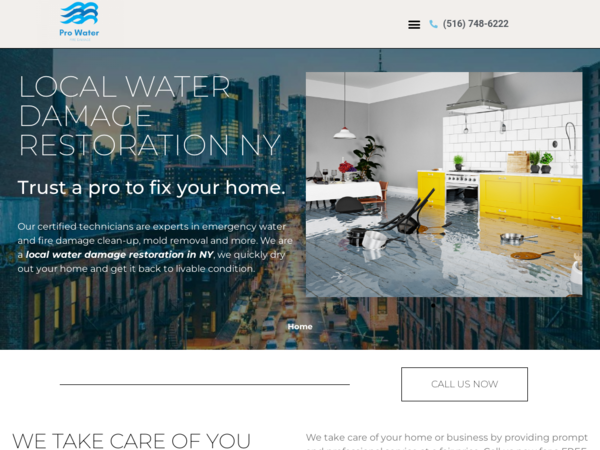 Water & Fire Damage Restoration- Pro Nassau