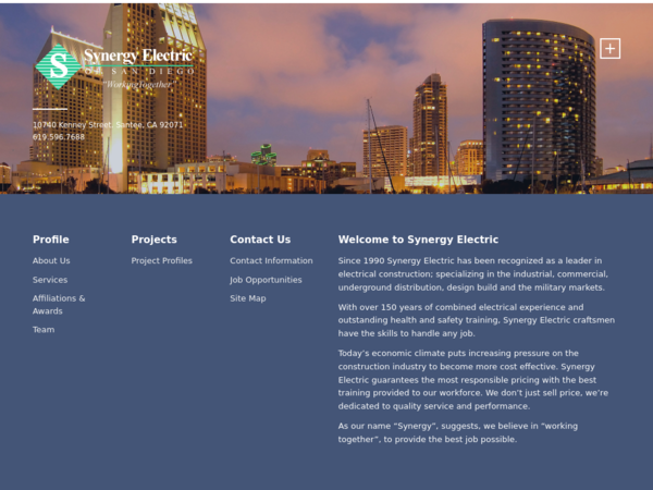 Synergy Electric Co