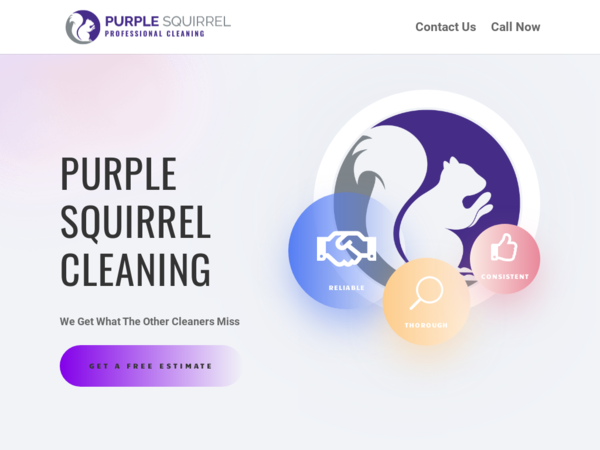 Purple Squirrel Professional Cleaning