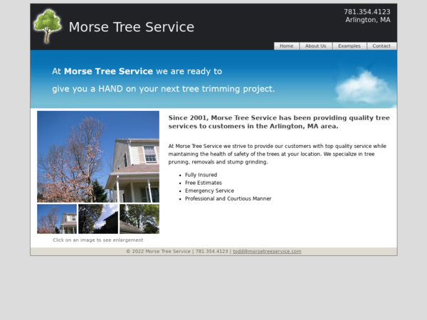 Arlington Tree Service