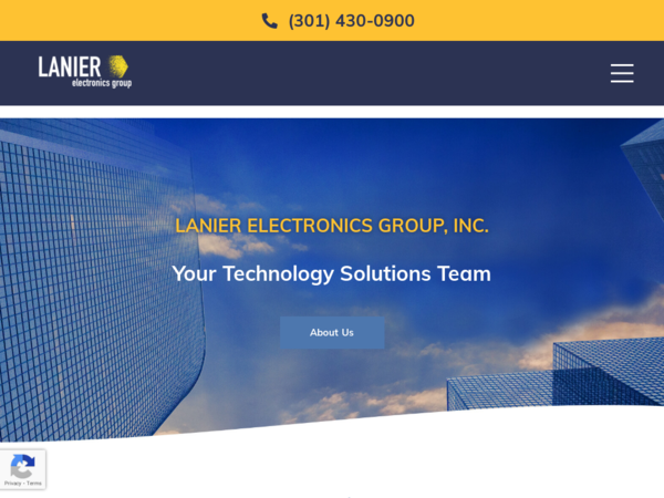 Lanier Electronics Group