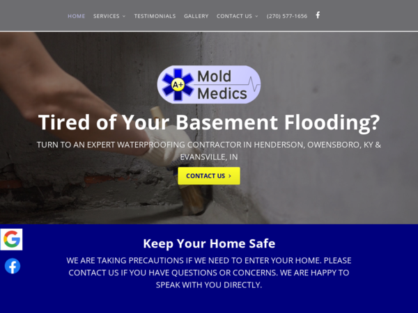 A+ Mold Medics