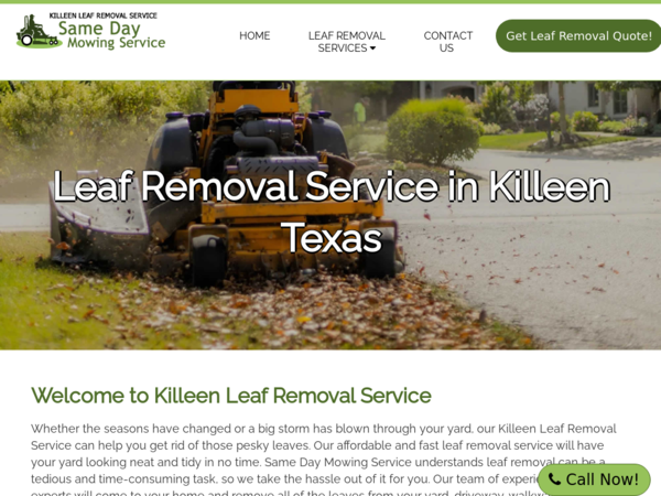 Killeen Leaf Removal Service