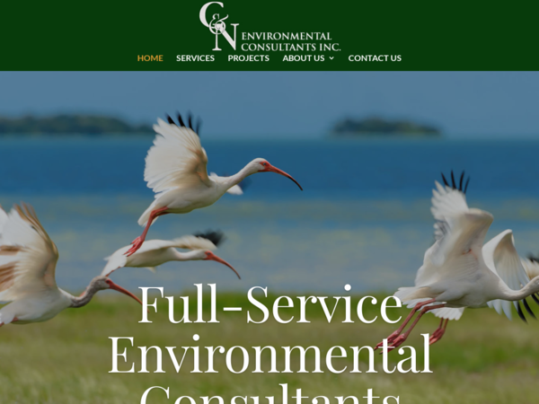 C & N Environmental Consultants