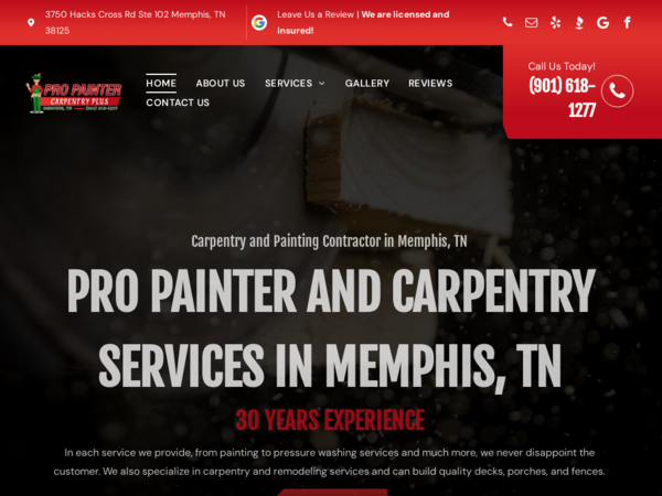 Pro Painter Carpentry Plus