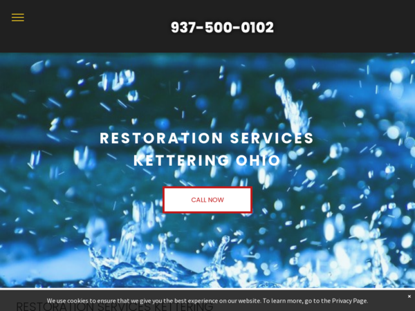 Mold Removal
