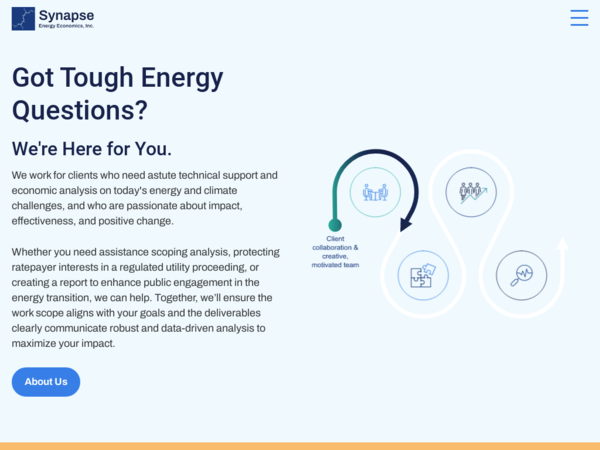Synapse Energy Economics Inc