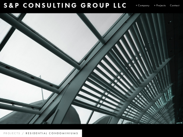 S&P Consulting Group LLC