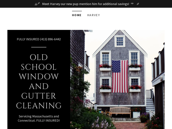 Old School Window and Gutter Cleaning