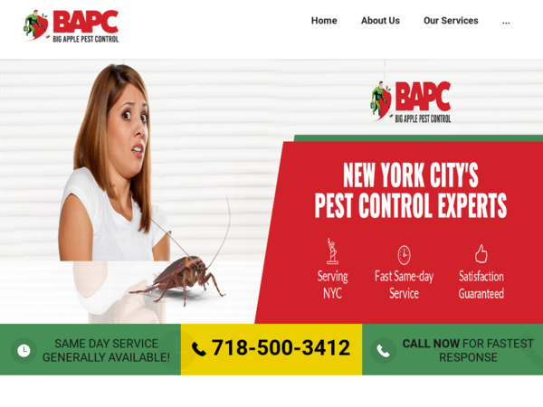 Big Apple Pest Control South Bronx