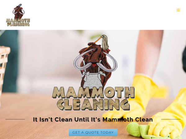 Mammoth Cleaning Services