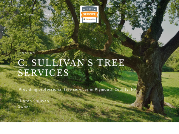 Sullivan Stump Removals