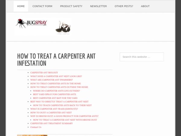 Carpenter Ant