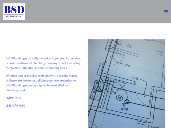 BSD Plumbing LLC