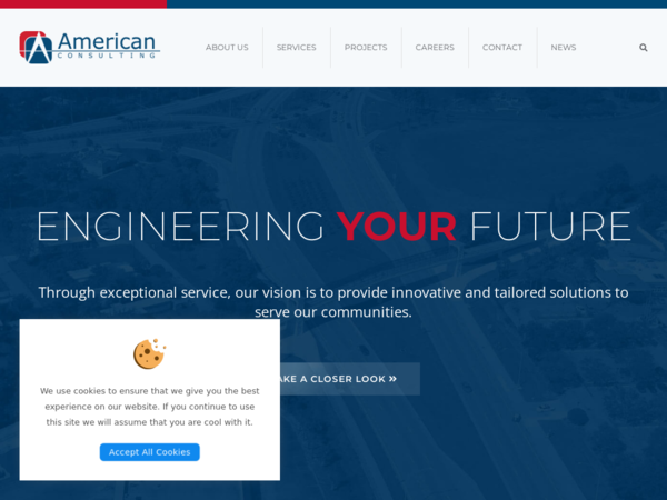 American Consulting Professionals