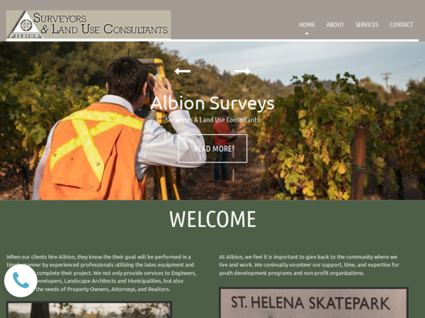 Albion Surveys