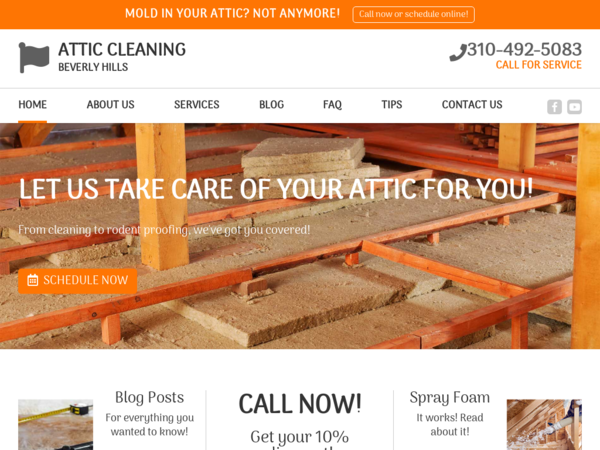 Attic Cleaning Beverly Hills