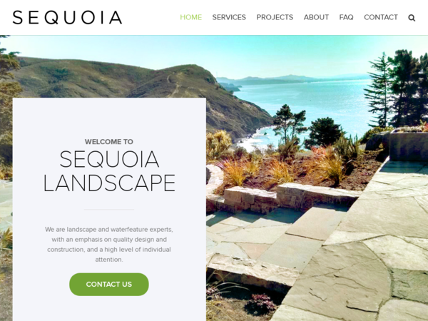 Sequoia Landscape