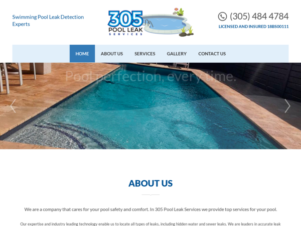 305 Pool Leak Services