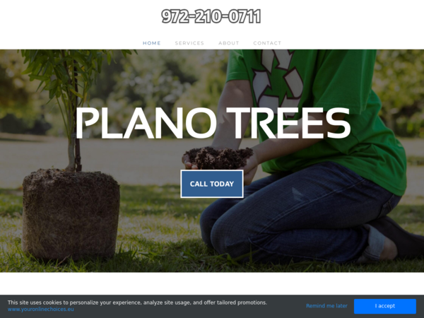 Plano Trees