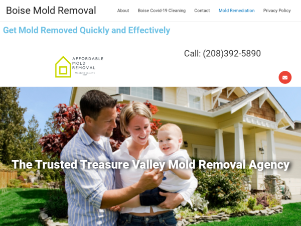Affordable Mold Removal Llc.