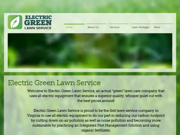Electric Green Lawn Service