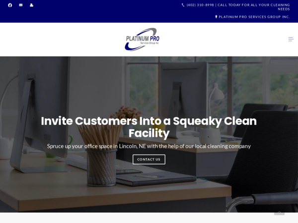 Platinum Pro Services Group Inc
