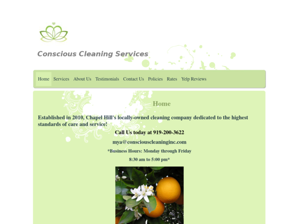 Conscious Cleaning Services