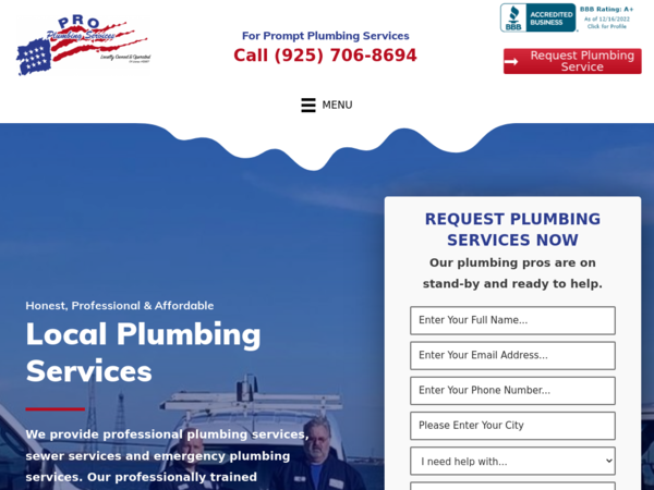 Pro Plumbing Services