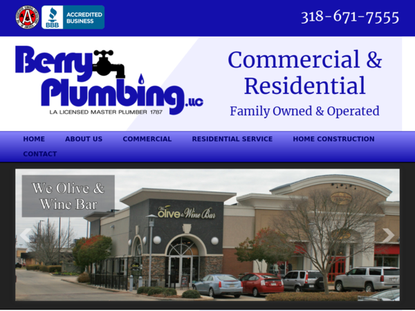 Berry Plumbing LLC
