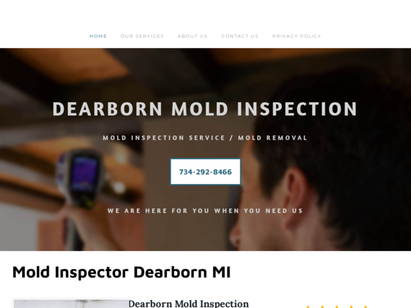 Dans Dearborn Mold Inspection