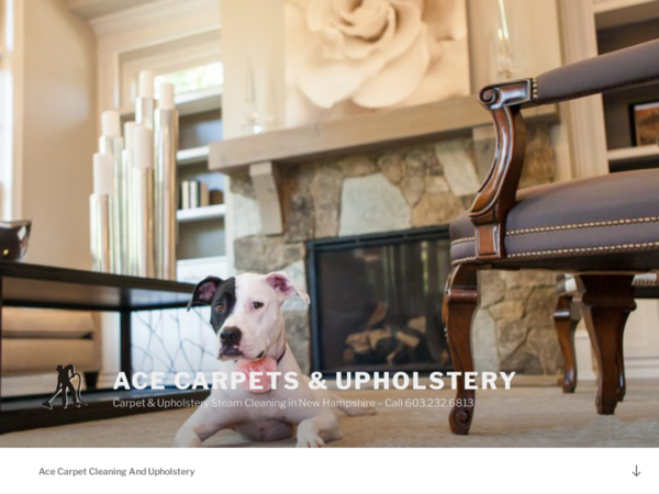 Ace Carpet & Upholstery