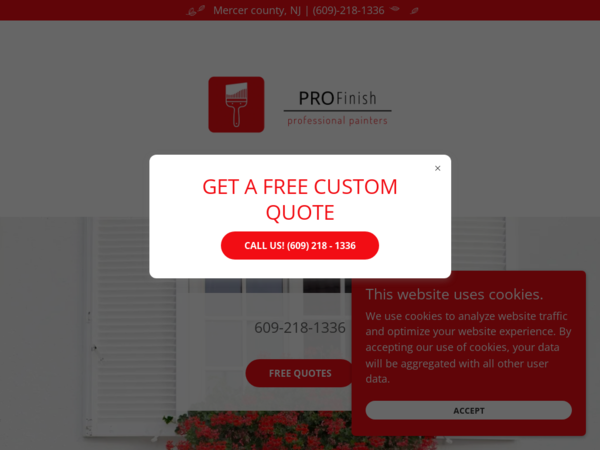 Profinish Painting