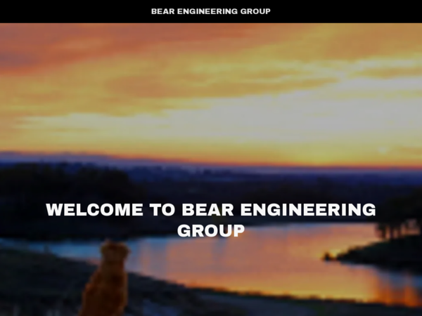 Bear Engineering Group