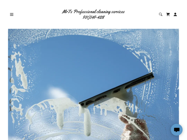 Mrts Professional Cleaning Services LLC
