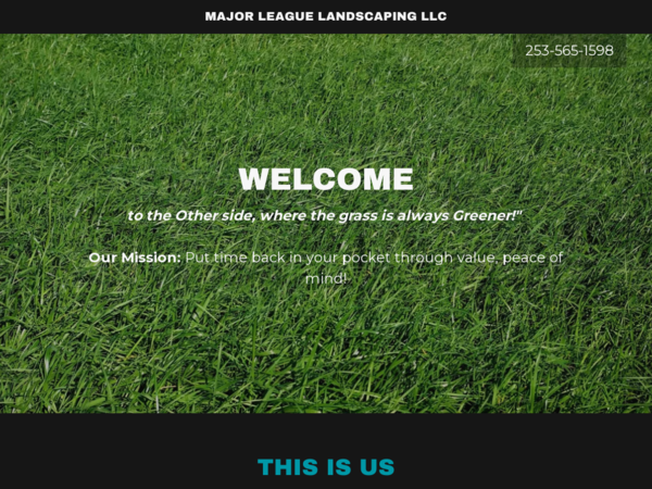 Major League Lawn Care