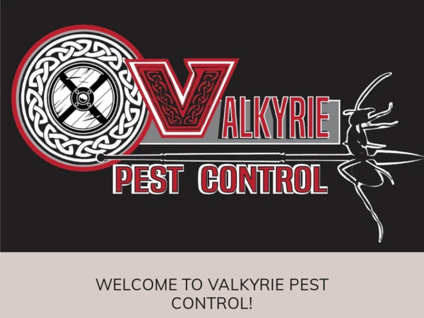 Valkyrie Pest Control