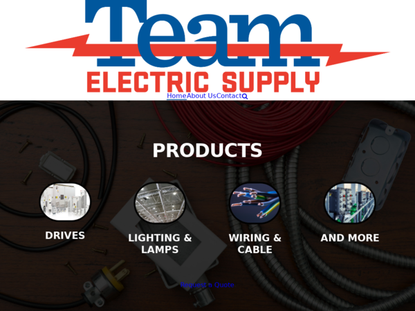Team Electric