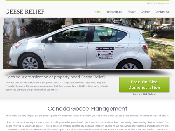 Geese Relief