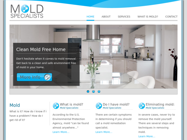Mold Specialists Inc