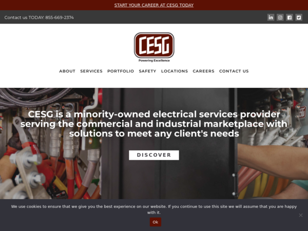 Critical Electric Systems Group