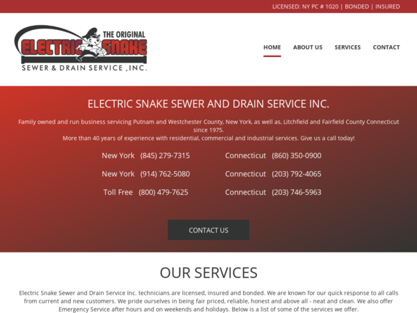 Electric Snake Sewer & Drain