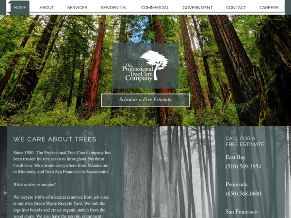 Professional Tree Care