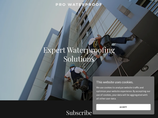 Professional Waterproofing & Caulking LLC