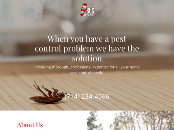 The Bug Solution