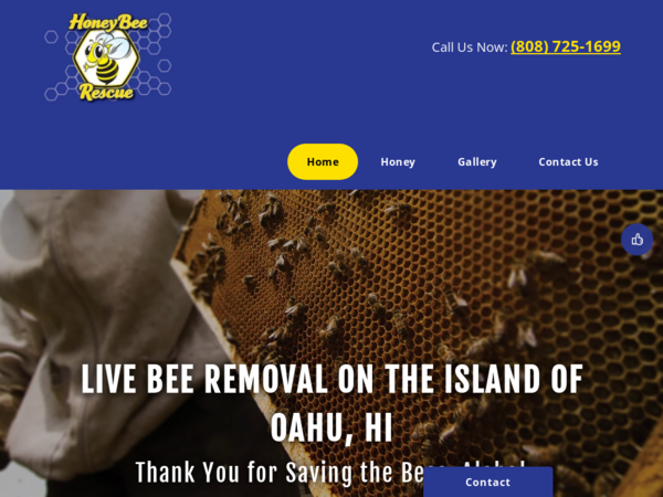 Honey Bee Rescue