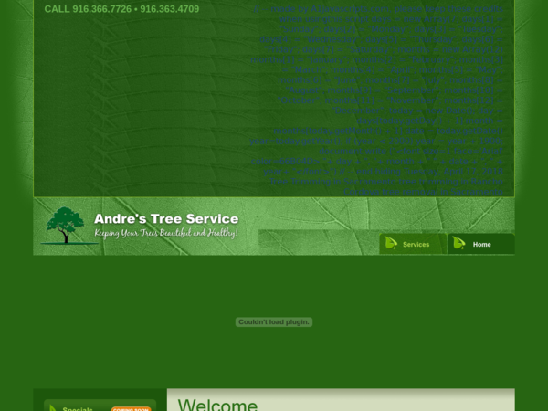 Andre's Tree Service